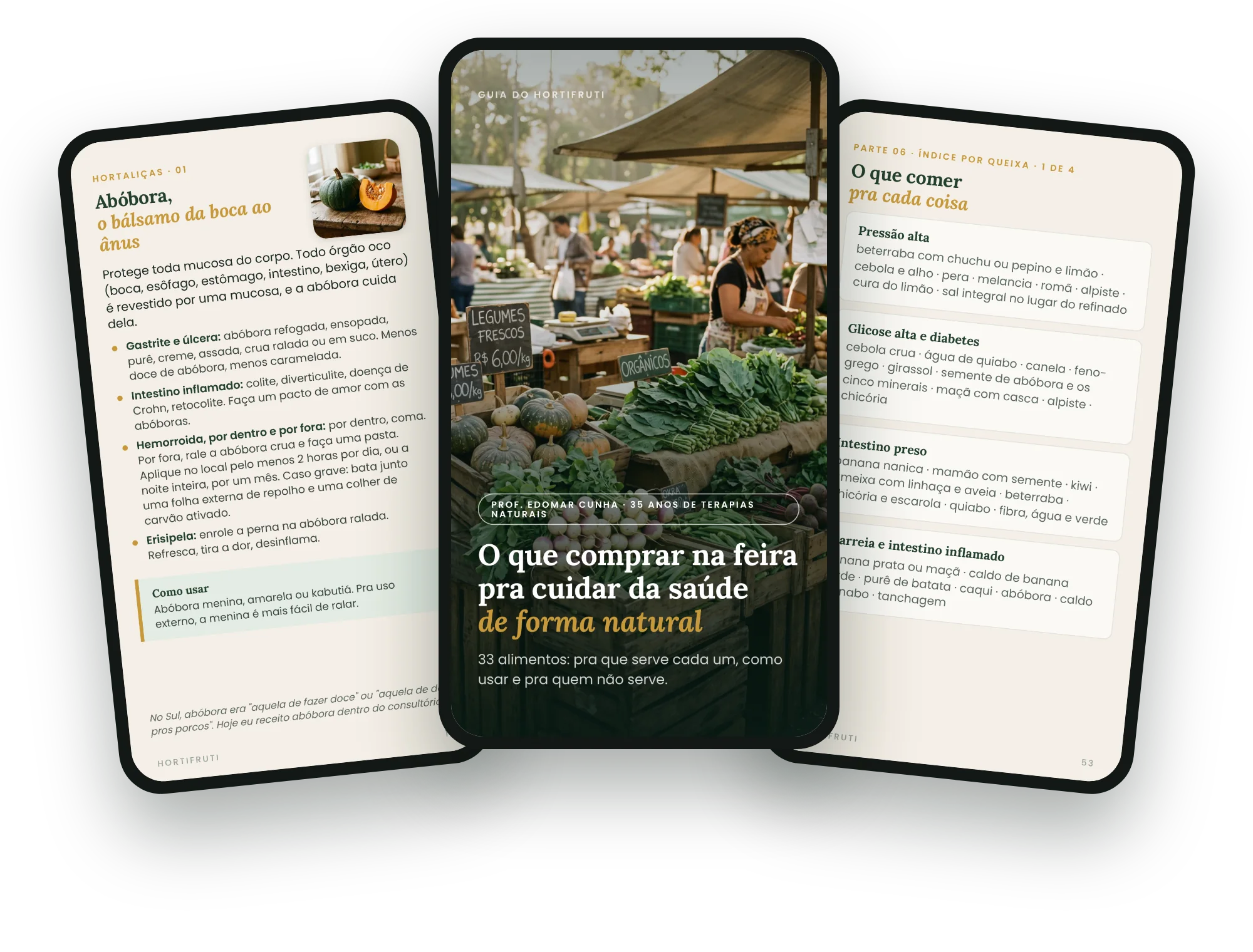 Guia do Hortifruti aberto em três celulares: capa, ficha da abóbora e índice por queixa